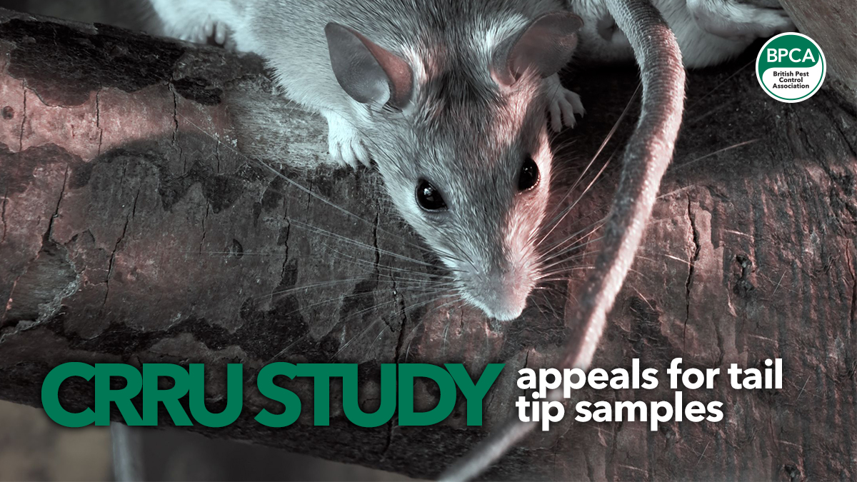 crru appeal for tail tips 2 crru appeal for tail tips 2